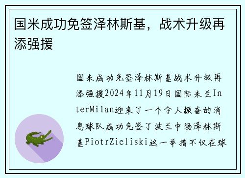 国米成功免签泽林斯基，战术升级再添强援